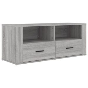 TV-Schrank Grau Sonoma 100x35x40 cm Holzwerkstoff